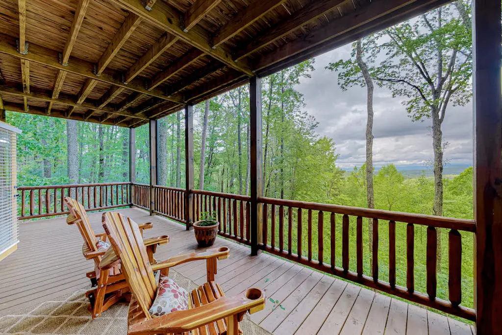 Black Bear View