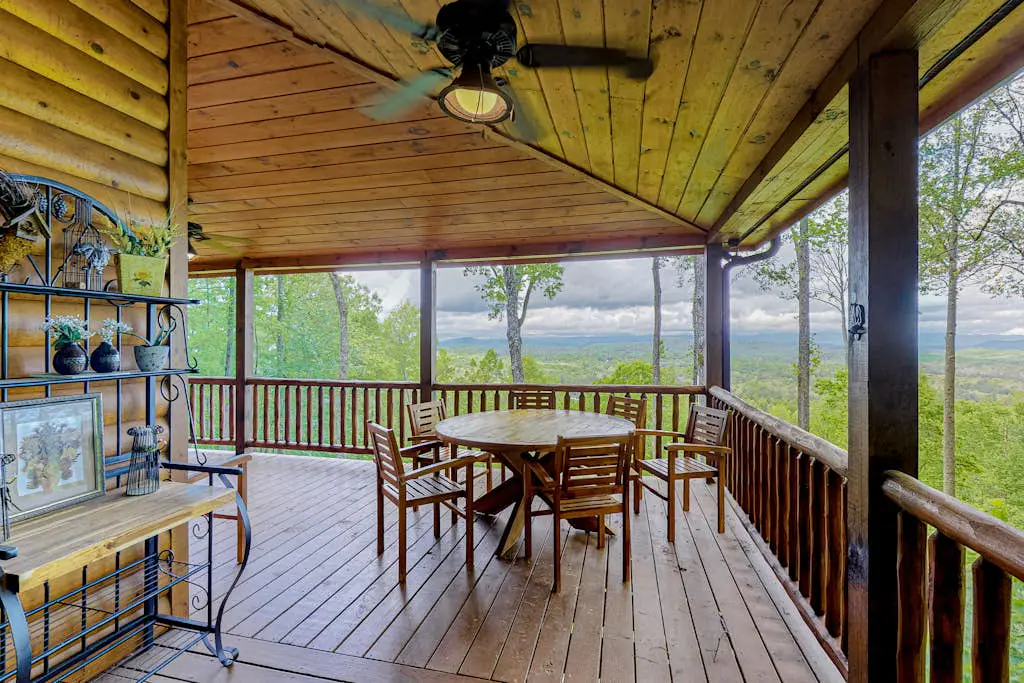Black Bear View