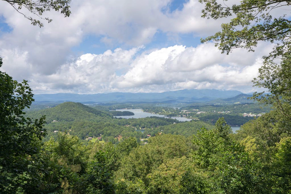 Ivy Mountain Top