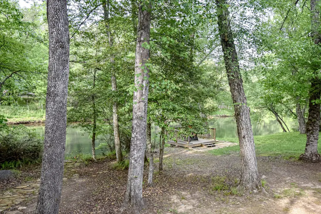 Toccoa River Run