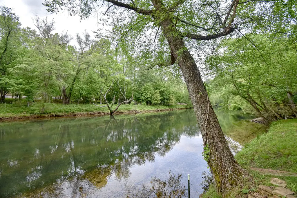 Toccoa River Run