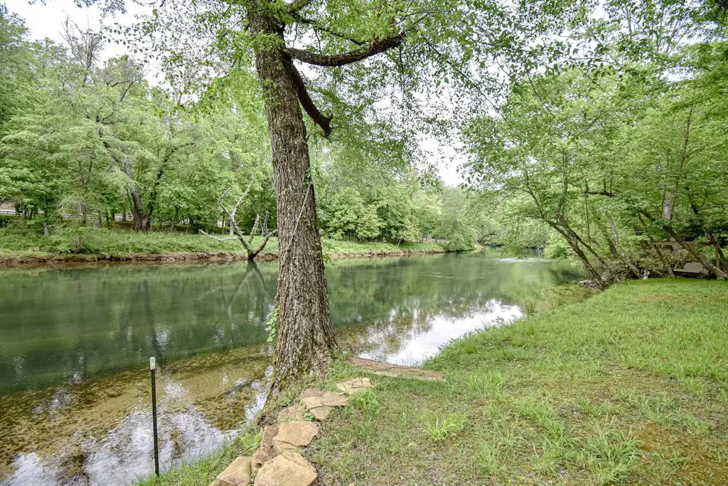 Toccoa River Run
