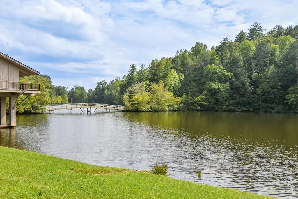 Sweet Creek at Skylake