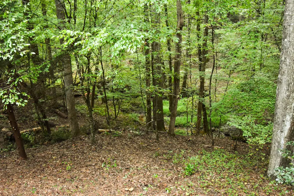 Sweet Creek at Skylake