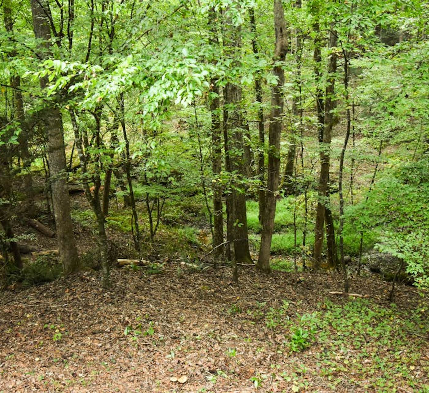 House in Sautee Nacoochee, GA - Sweet Creek at Skylake