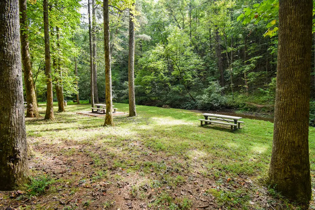 Sweet Creek at Skylake