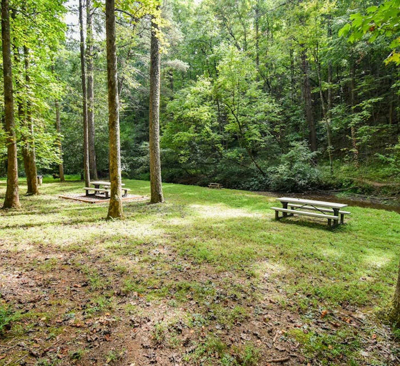 House in Sautee Nacoochee, GA - Sweet Creek at Skylake