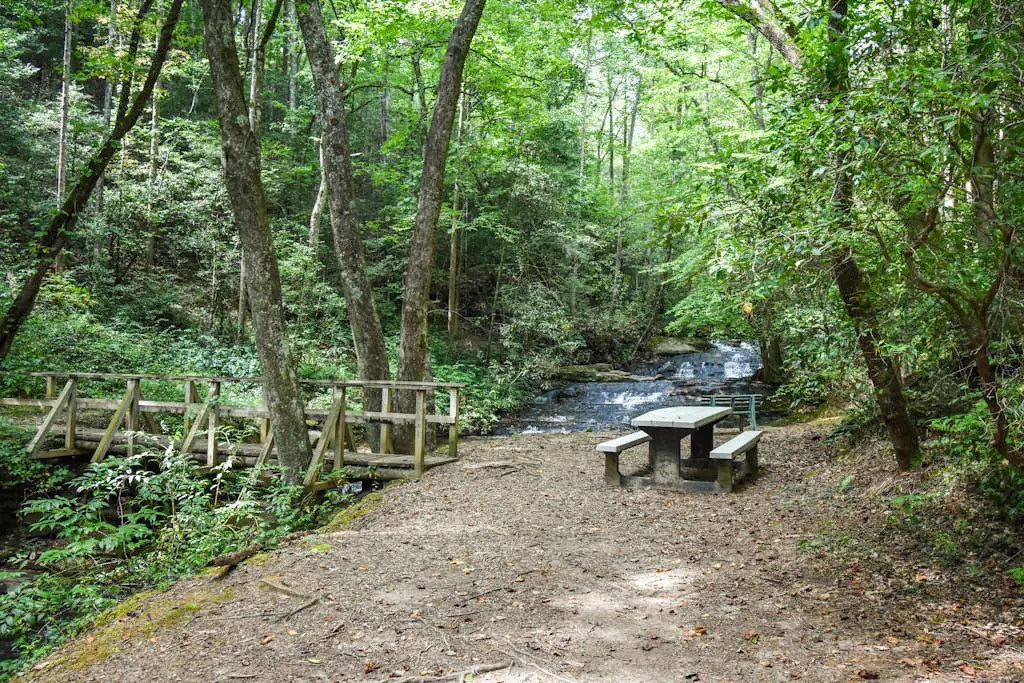 Sweet Creek at Skylake
