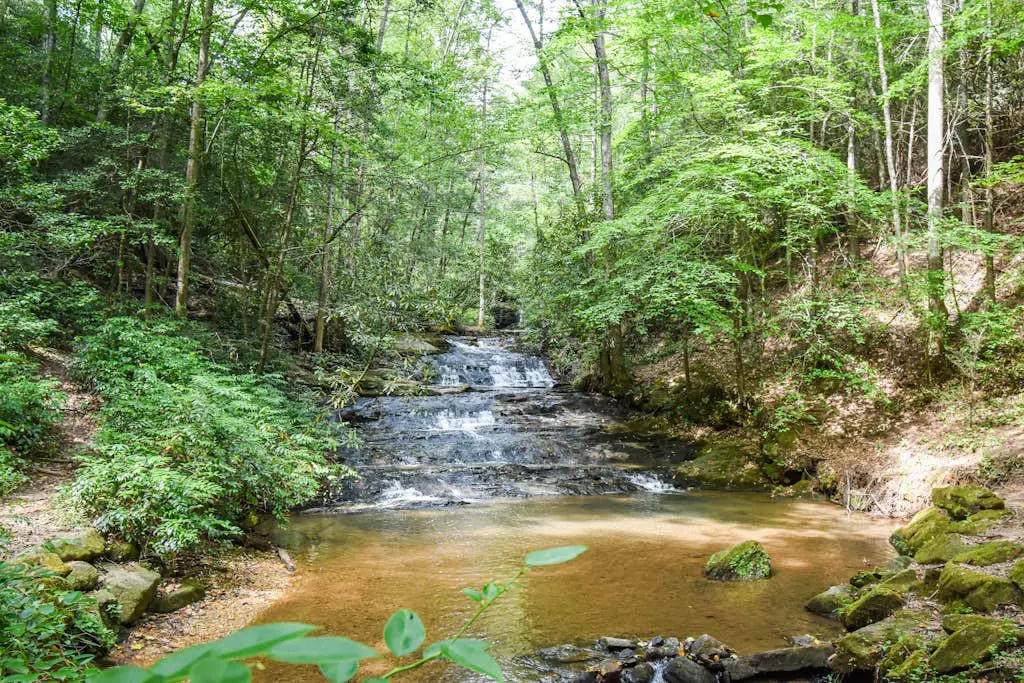 Sweet Creek at Skylake