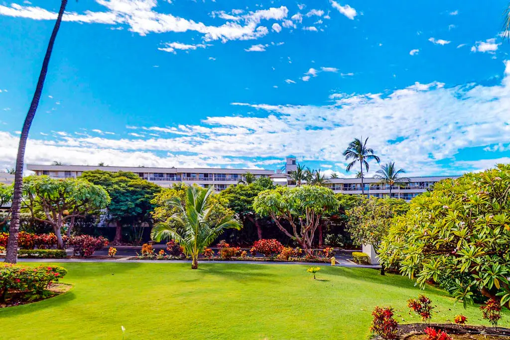 Kihei Akahi D612