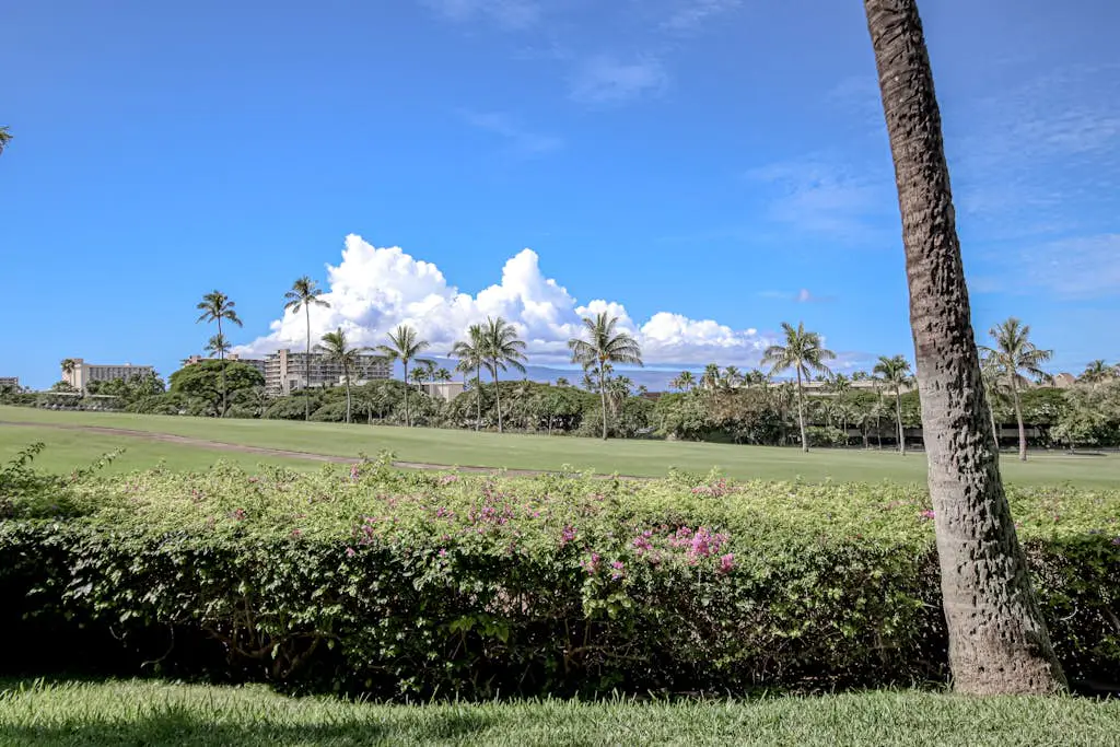 Maui Eldorado Resort A100