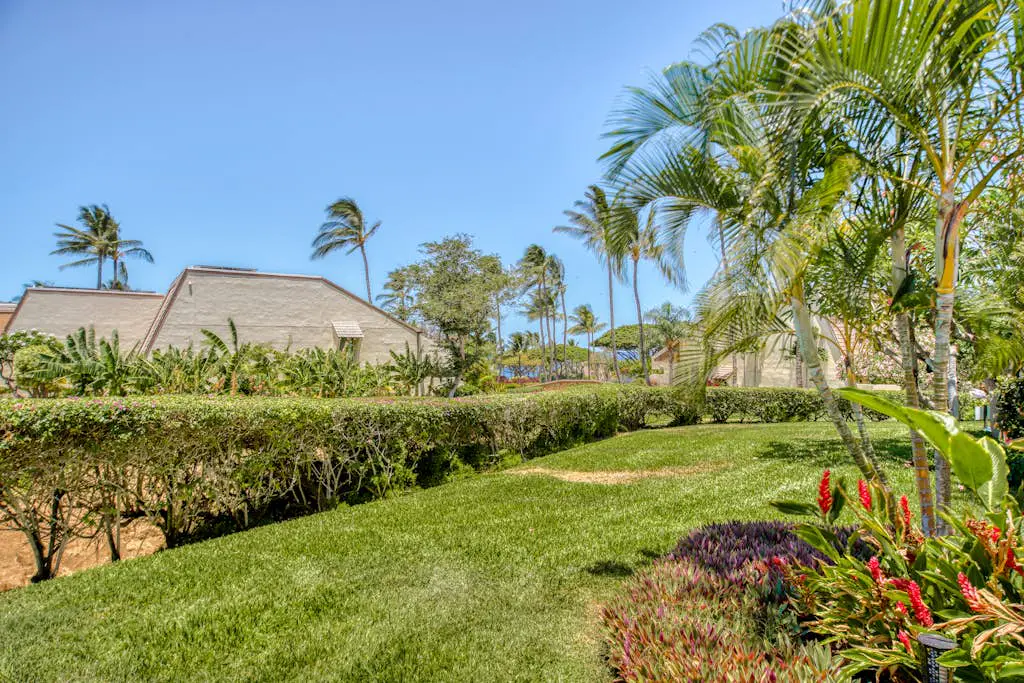 Maui Kamaole J105