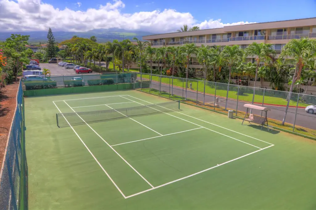 Maui Banyan Q408