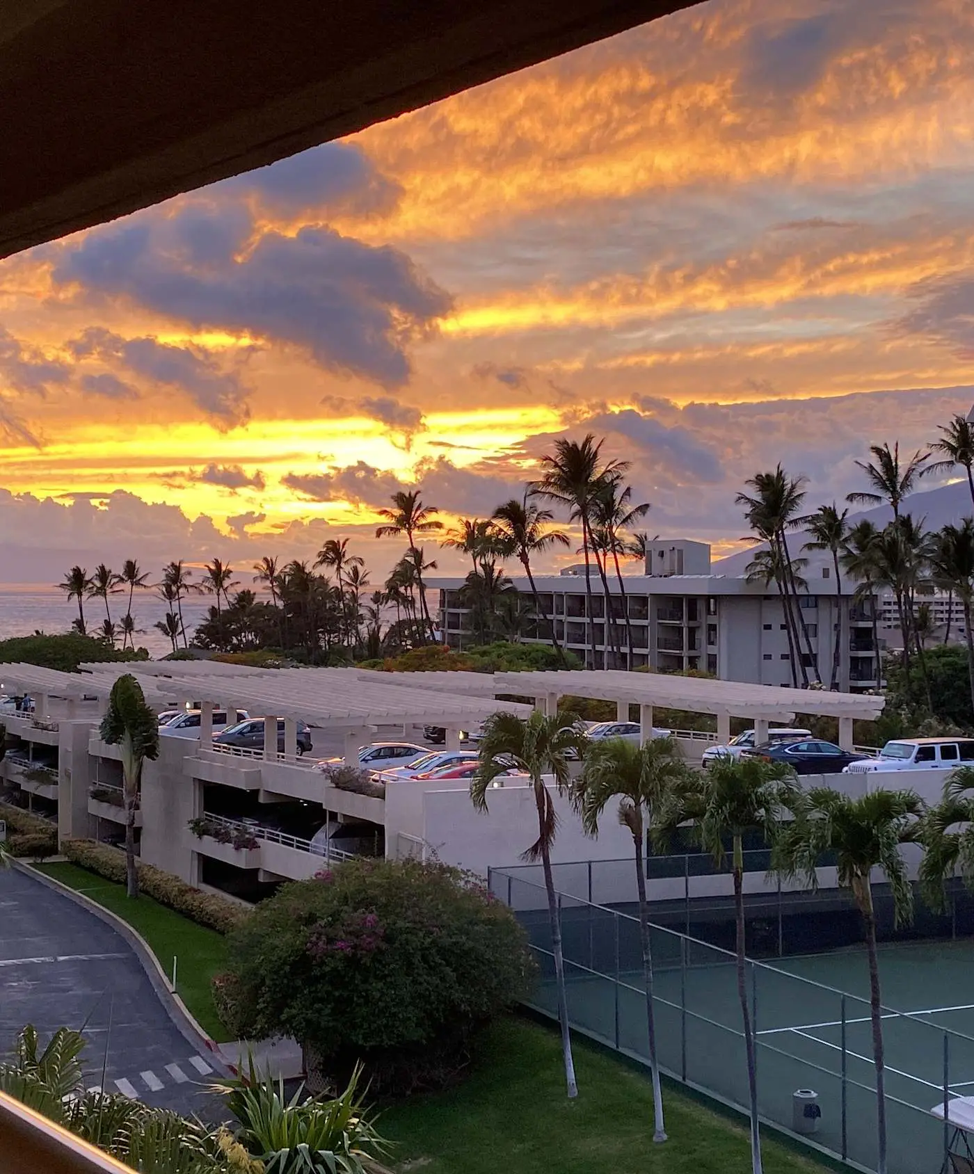 Maui Banyan Q408