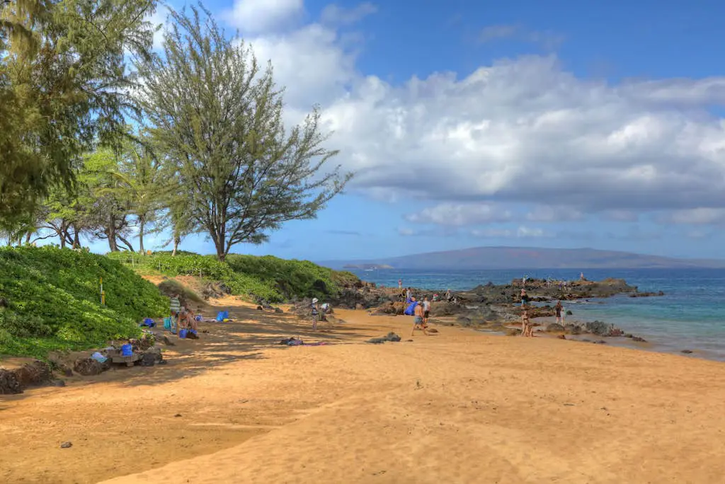 Maui Banyan Q408A & Q408B