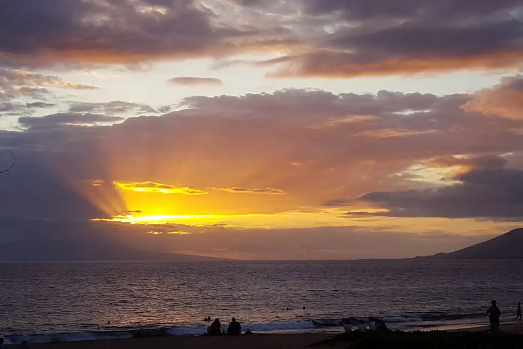 Maui Banyan Q408A & Q408B