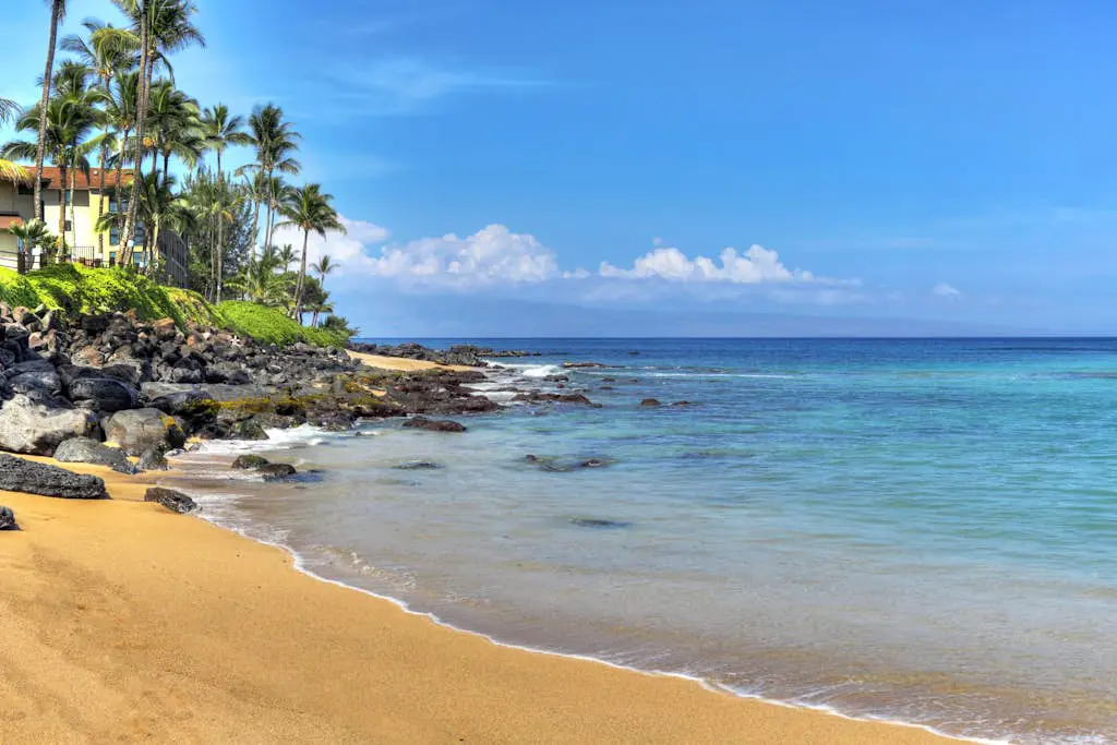 Mahina Surf 126