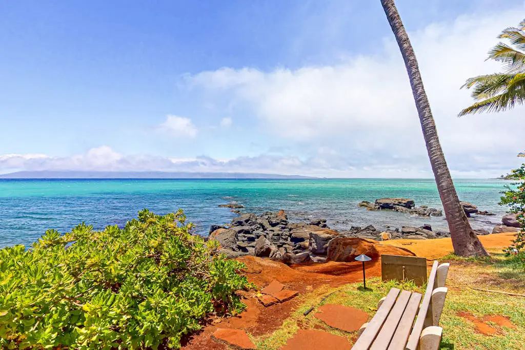 Mahina Surf 126