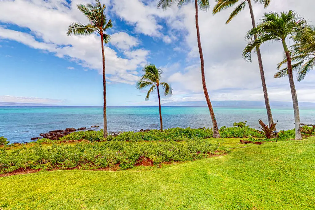 Mahina Surf 126