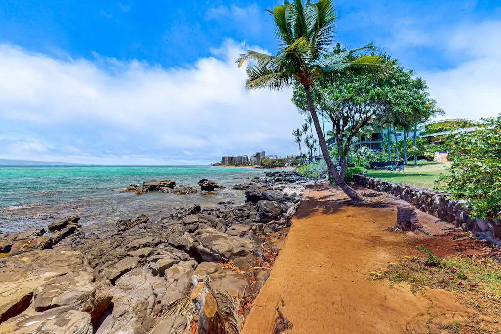 Mahina Surf 126