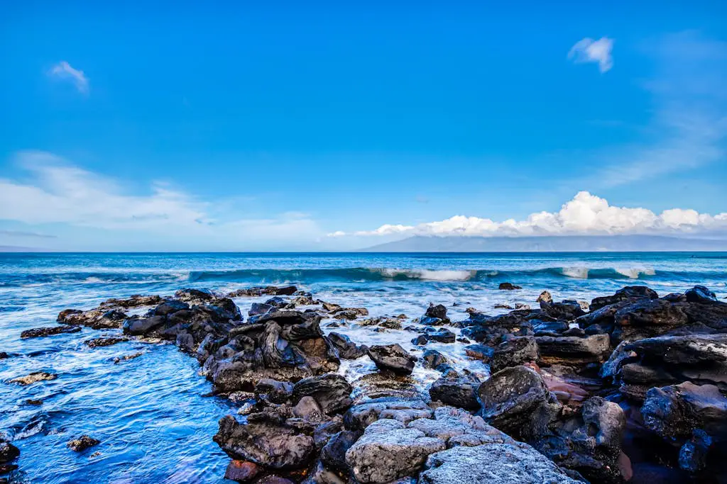 Mahina Surf 126