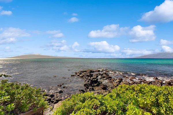Ideal island condo steps from Turtle Beach with pool & patio