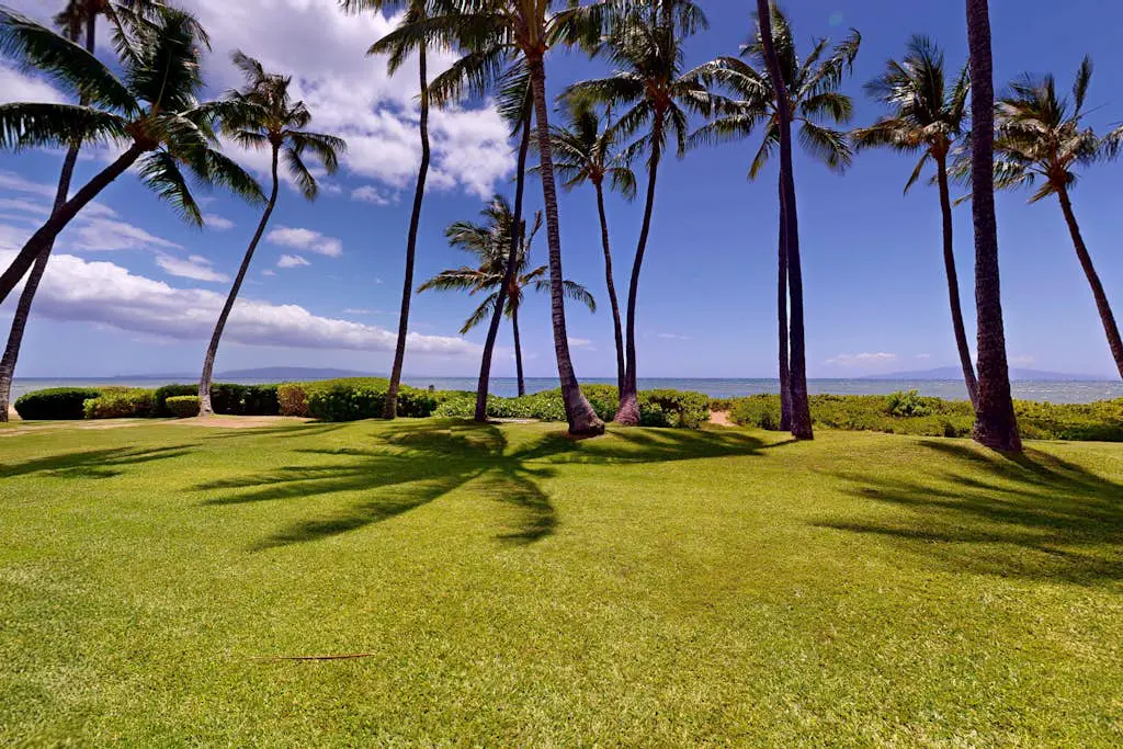 Hale Kai O Kihei 206
