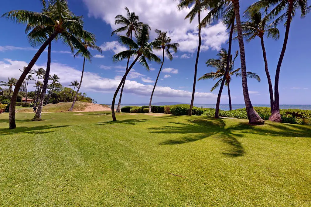 Hale Kai O Kihei 206