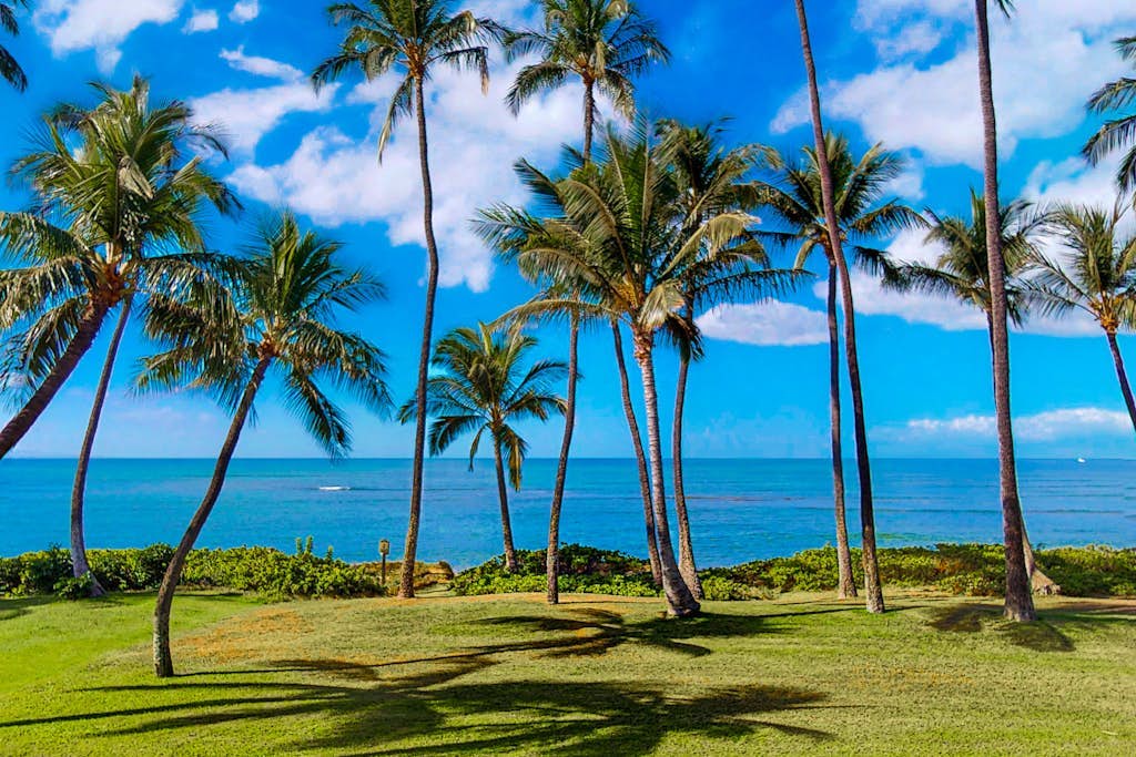 Hale Kai O Kihei 312 | 1 Bed Kihei, HI Condo | Vacasa