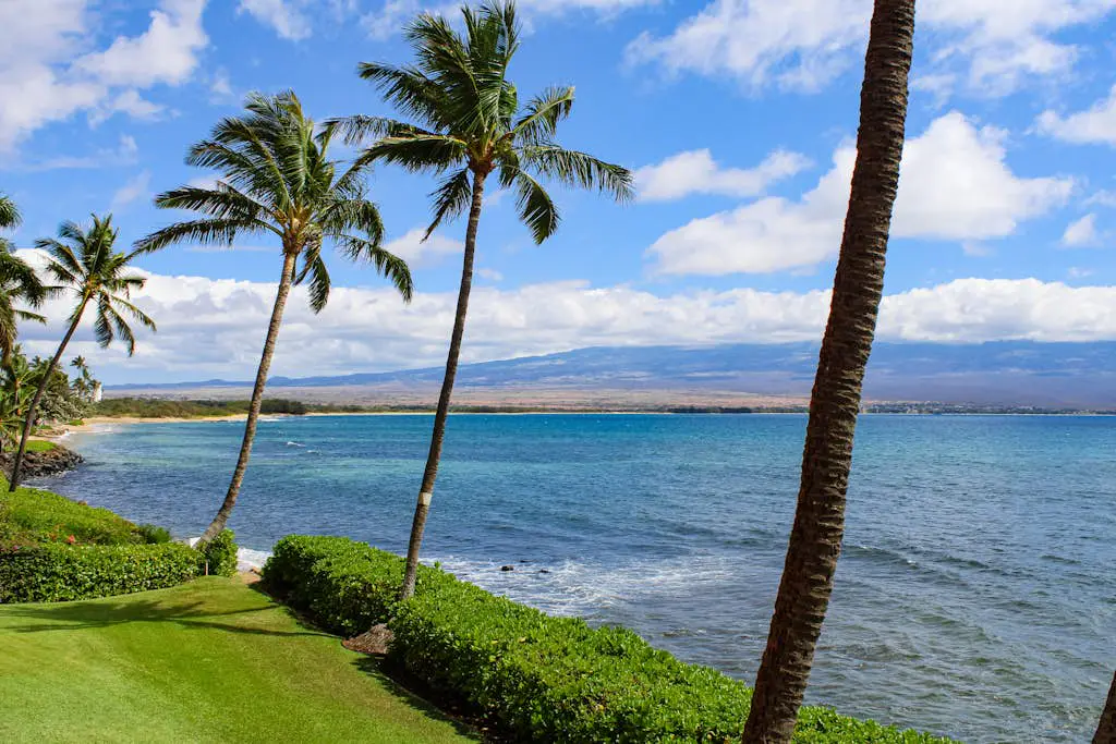 Island Sands Resort 208