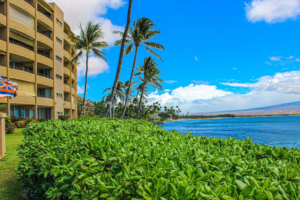 Island Sands Resort 208