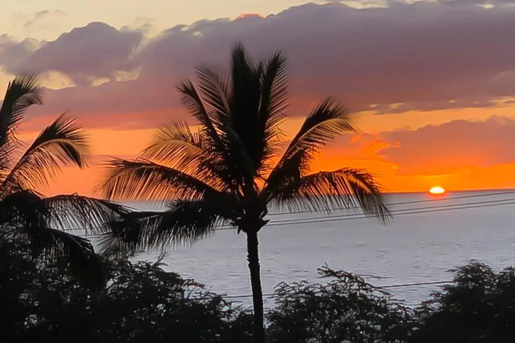 Maui Kamaole A108