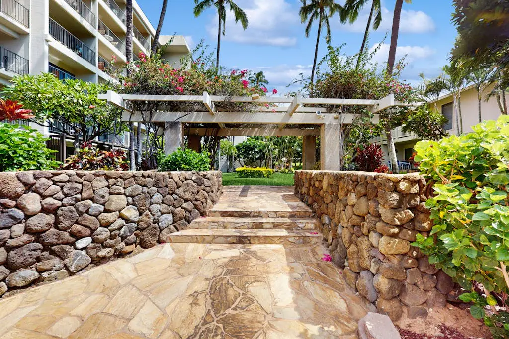 Kihei Akahi C413