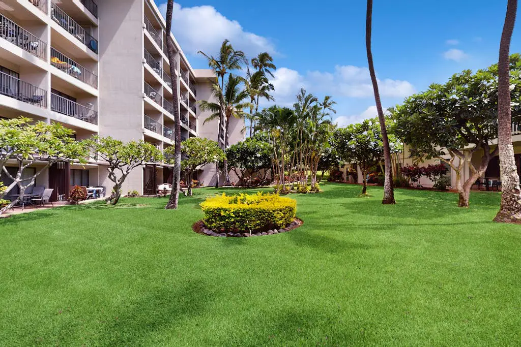 Kihei Akahi C413
