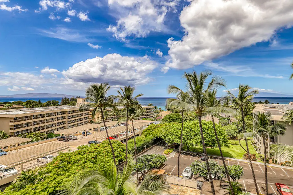 Kihei Akahi D216