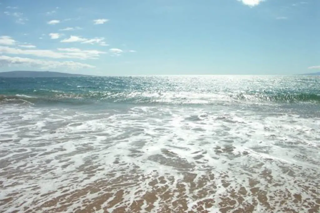 Kihei Akahi D216