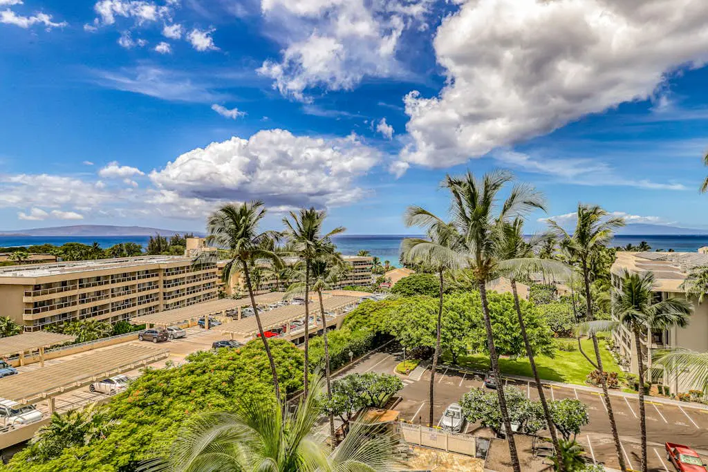Kihei Akahi D215