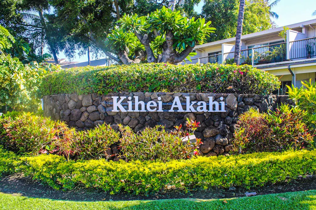 Kihei Akahi D215