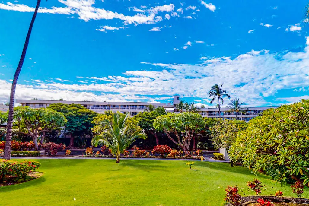 Kihei Akahi D401