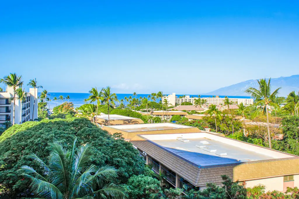 Kihei Akahi D401
