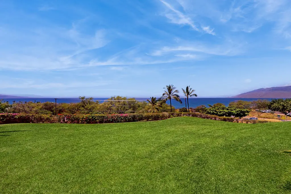 Maui Kamaole A208
