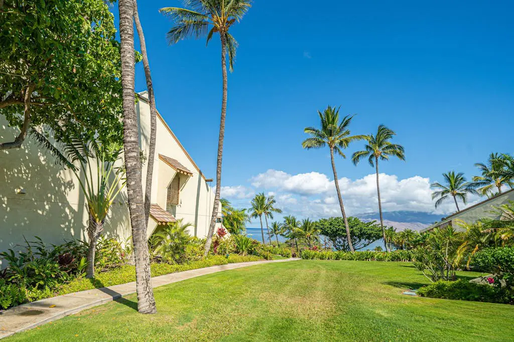 Maui Kamaole A208
