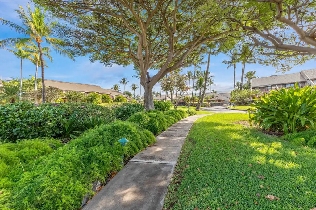 Maui Kamaole A208
