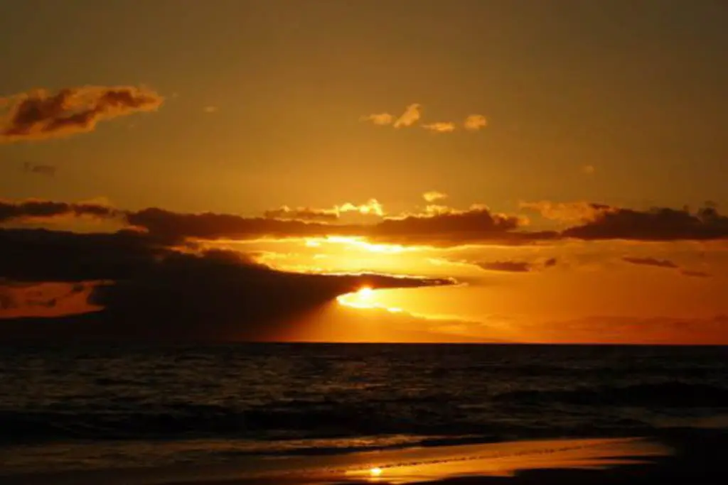 Kihei Akahi C515