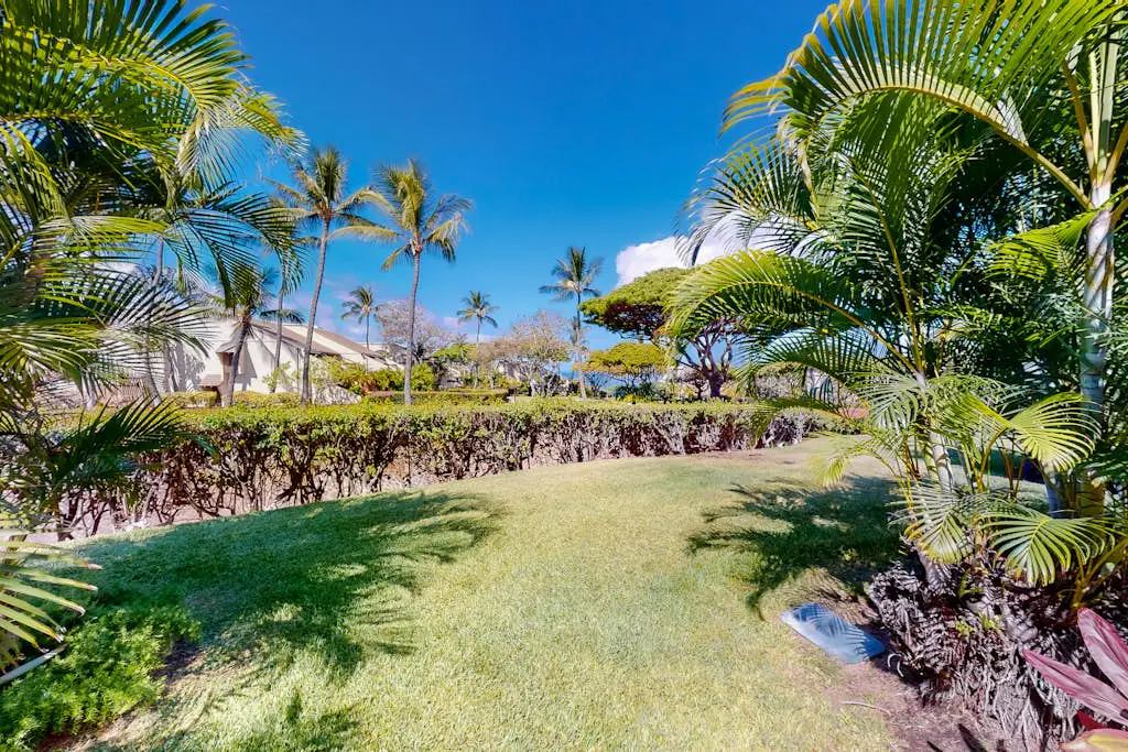 Maui Kamaole A214