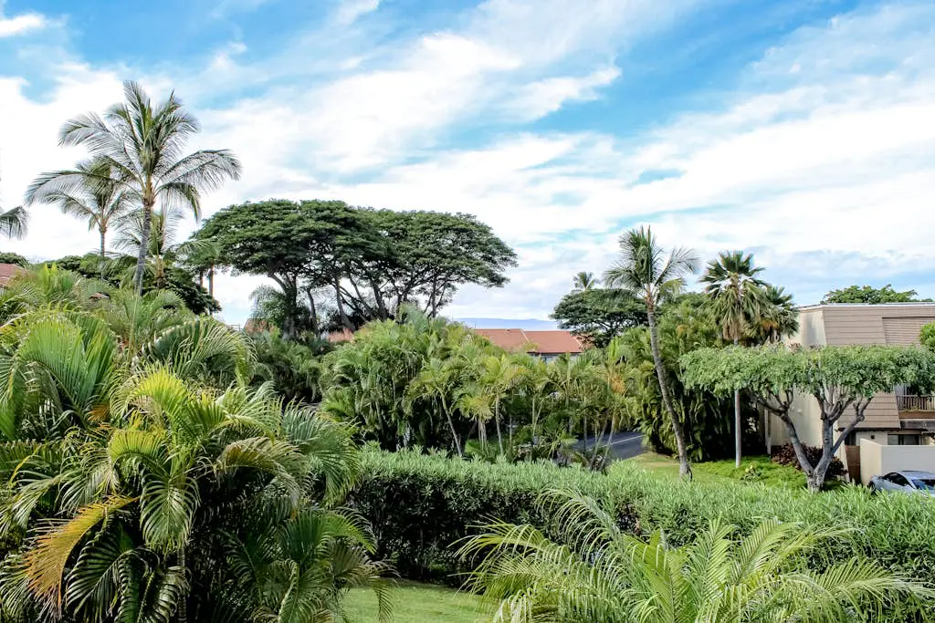 Maui Kamaole D206