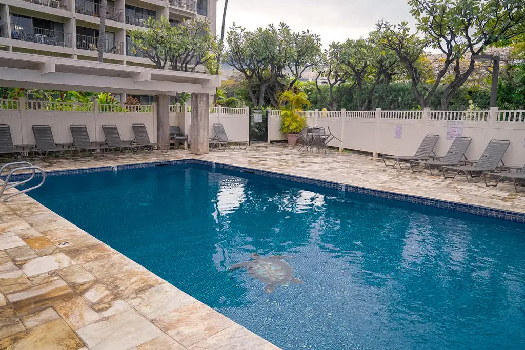 Kihei Akahi D613