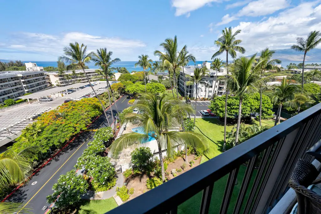 Kihei Akahi D613