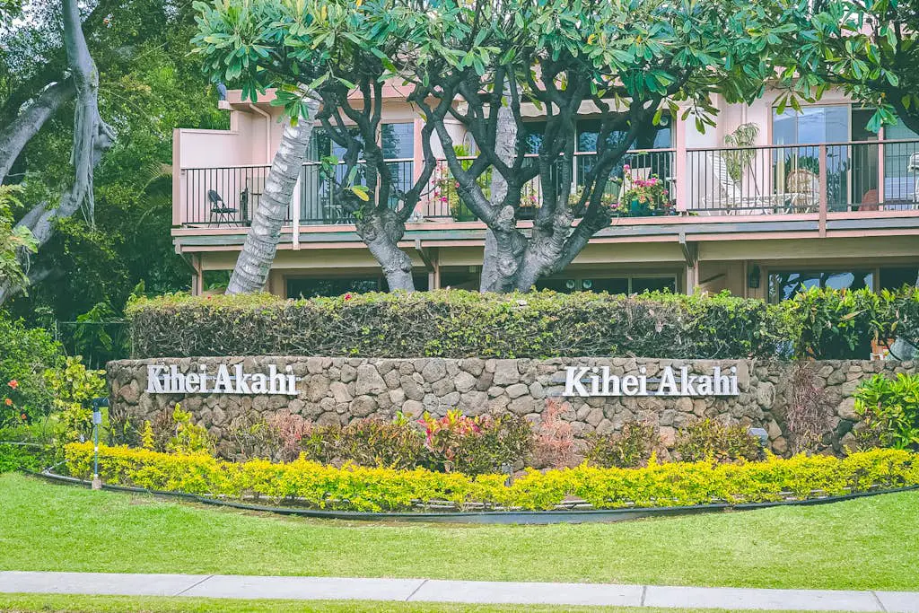 Kihei Akahi D613