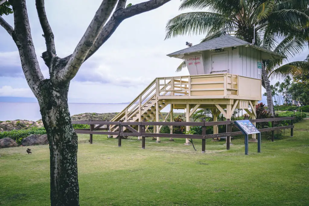 Kihei Akahi D613